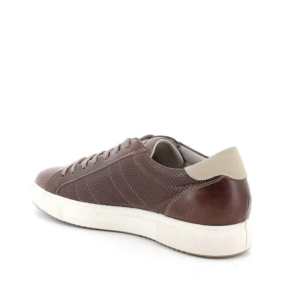 Sneakers | Igi&Co Sneakers In Pelle Da Uomo Fango